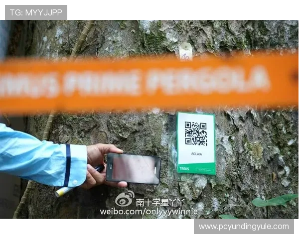 云顶娱乐场网址官方确认入口，保证玩家账号安全与资金保障