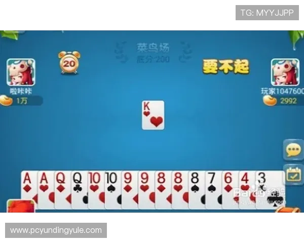 深入了解扑克牌三公游戏的规则细节与玩法策略提升你的游戏体验和胜率