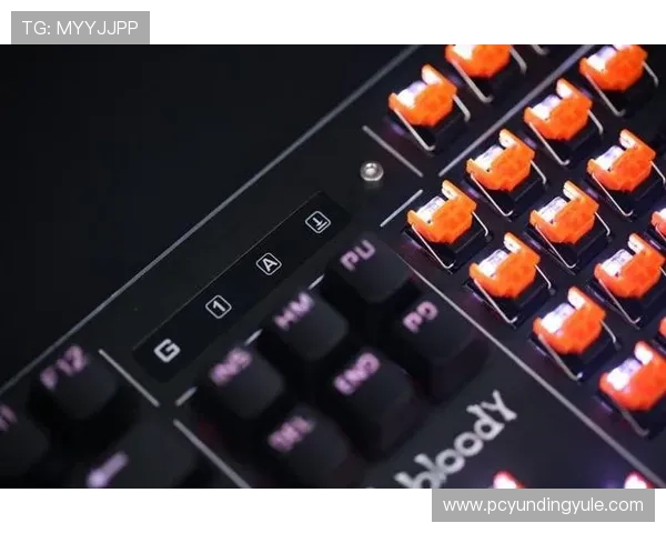 极速快三开奖历史数据分析帮助玩家做出更科学的投注决策